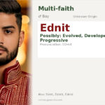 Ednit Name Meaning and Details