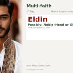 Eldin Name Meaning and Details