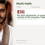 Elii Name Meaning and Details