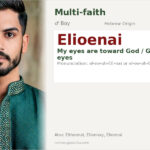 Elioenai Name Meaning and Details