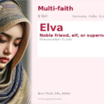 Elva Name Meaning and Details