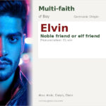 Elvin Name Meaning and Details