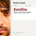 Emillio Name Meaning and Details