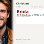 Enda Name Meaning and Details
