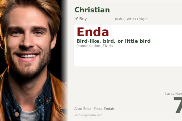 Enda Name Meaning — Irish Origin, Bird Symbolism & Christian History