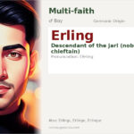 Erling Name Meaning and Details