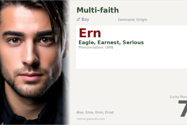 Ern Name Meaning — Germanic Origin, Boy Name & Details (2025)