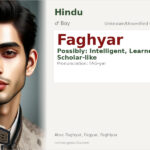 Faghyar Name Meaning and Details