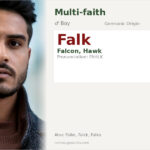 Falk Name Meaning and Details
