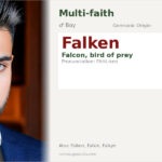Falken Name Meaning and Details