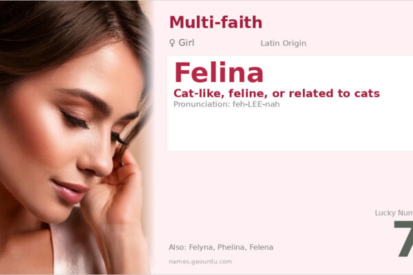 Felina Name Meaning — Latin Origin, Girl Name & Details (2025)