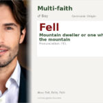 Fell Name Meaning and Details