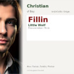 Fillin Name Meaning and Details