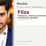 Filza Name Meaning and Details