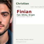 Finian Name Meaning and Details