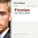 Finnian Name Meaning and Details