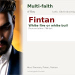 Fintan Name Meaning and Details