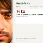 Fitz Name Meaning and Details