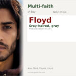 Floyd Name Meaning and Details