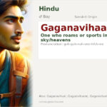 Gaganavihaaree Name Meaning and Details