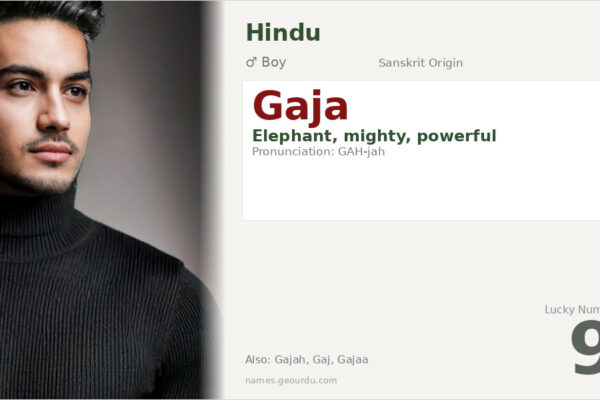 Gaja Name Meaning — Sanskrit Origin, Boy Name & Elephant Symbolism (2025)