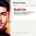 Galvin Name Meaning and Details