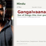 Gangaivaanan Name Meaning and Details