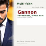 Gannon Name Meaning and Details