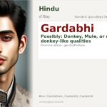 Gardabhi Name Meaning and Details