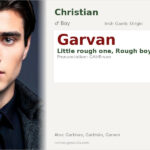 Garvan Name Meaning and Details