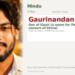 Gaurinandan Name Meaning and Details