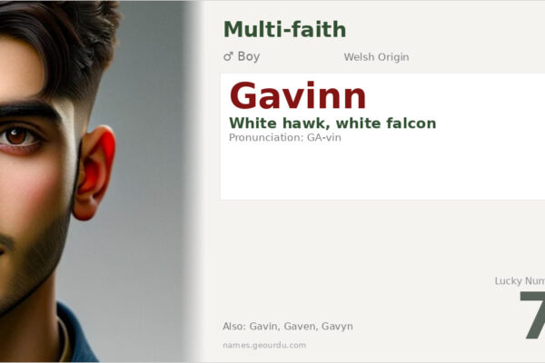 Gavinn Name Meaning — White Hawk Origin, Boy Name & History (2025)