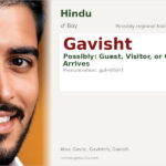 Gavisht Name Meaning and Details