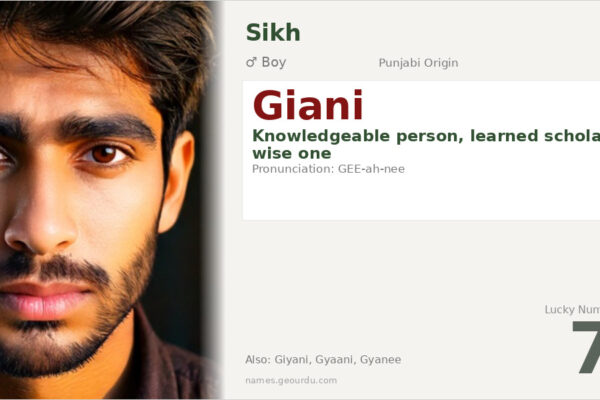 Giani Name Meaning — Punjabi Origin, Sikh Tradition & Details (2025)
