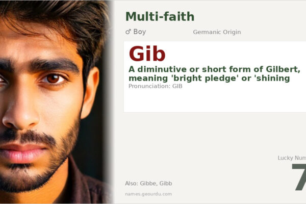 Gib Name Meaning — Origin, Gender & Details (2025)