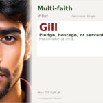 Gill Name Meaning and Details