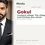 Gokul Name Meaning and Details