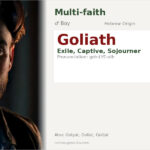 Goliath Name Meaning and Details