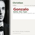 Gonzalo Name Meaning and Details