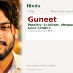 Guneet Name Meaning and Details
