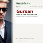 Gursan Name Meaning and Details