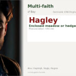 Hagley Name Meaning and Details