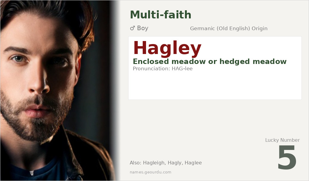 Hagley Name Meaning and Details
