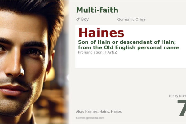 Haines Name Meaning — Germanic Origin, Boy Name & Details (2025)