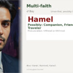 Hamel Name Meaning and Details