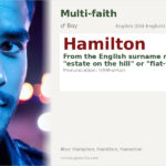 Hamilton Name Meaning and Details