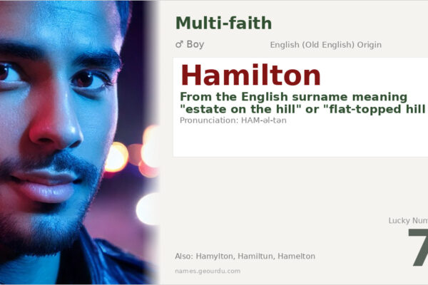 Hamilton Name Meaning — English Origin, Boy Name & History (2025)