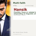 Hansik Name Meaning and Details