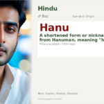 Hanu Name Meaning and Details