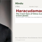 Haracudamani Name Meaning and Details